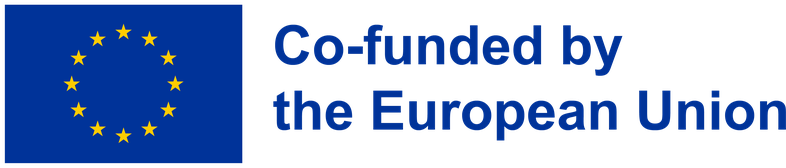 Co-funded by the European Union